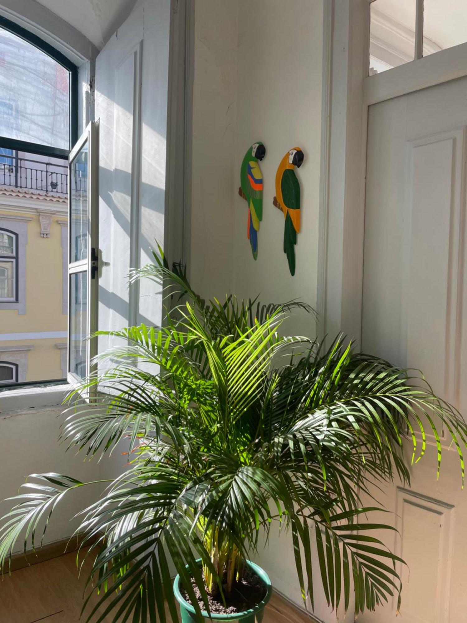 Chiado Home Lizbona Zewnętrze zdjęcie